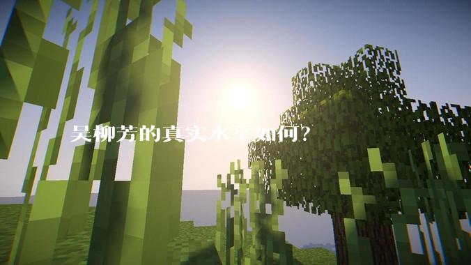 吴柳芳的真实水平如何？